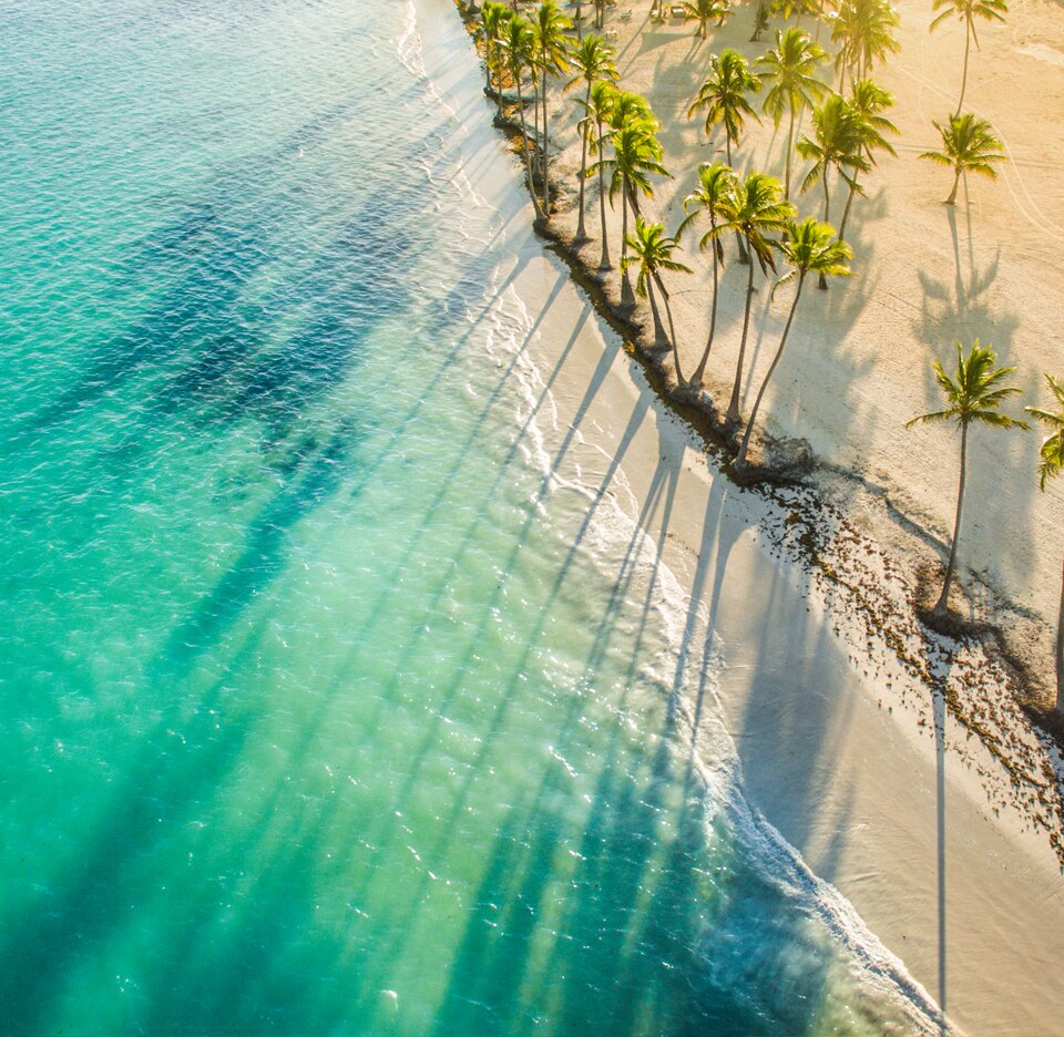 Fly & Cruise Pakete 2024 MSC Cruises