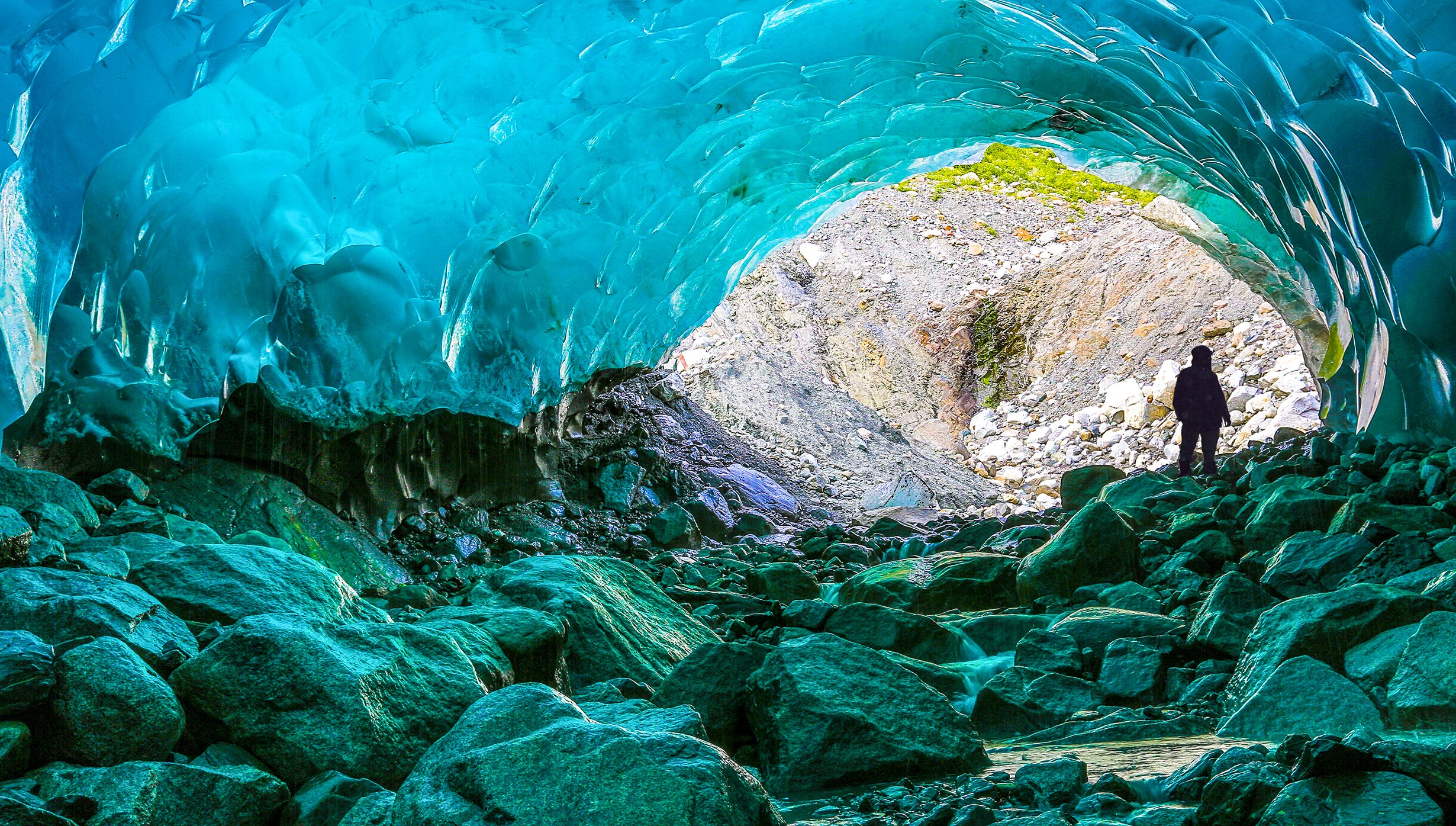 Mendenhall-Gletscher, Juneau | MSC Cruises Mendenhall-Gletscher, Juneau | MSC Cruises