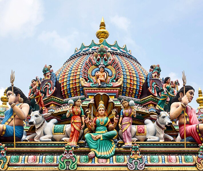  MSC Cruises Bildidee 