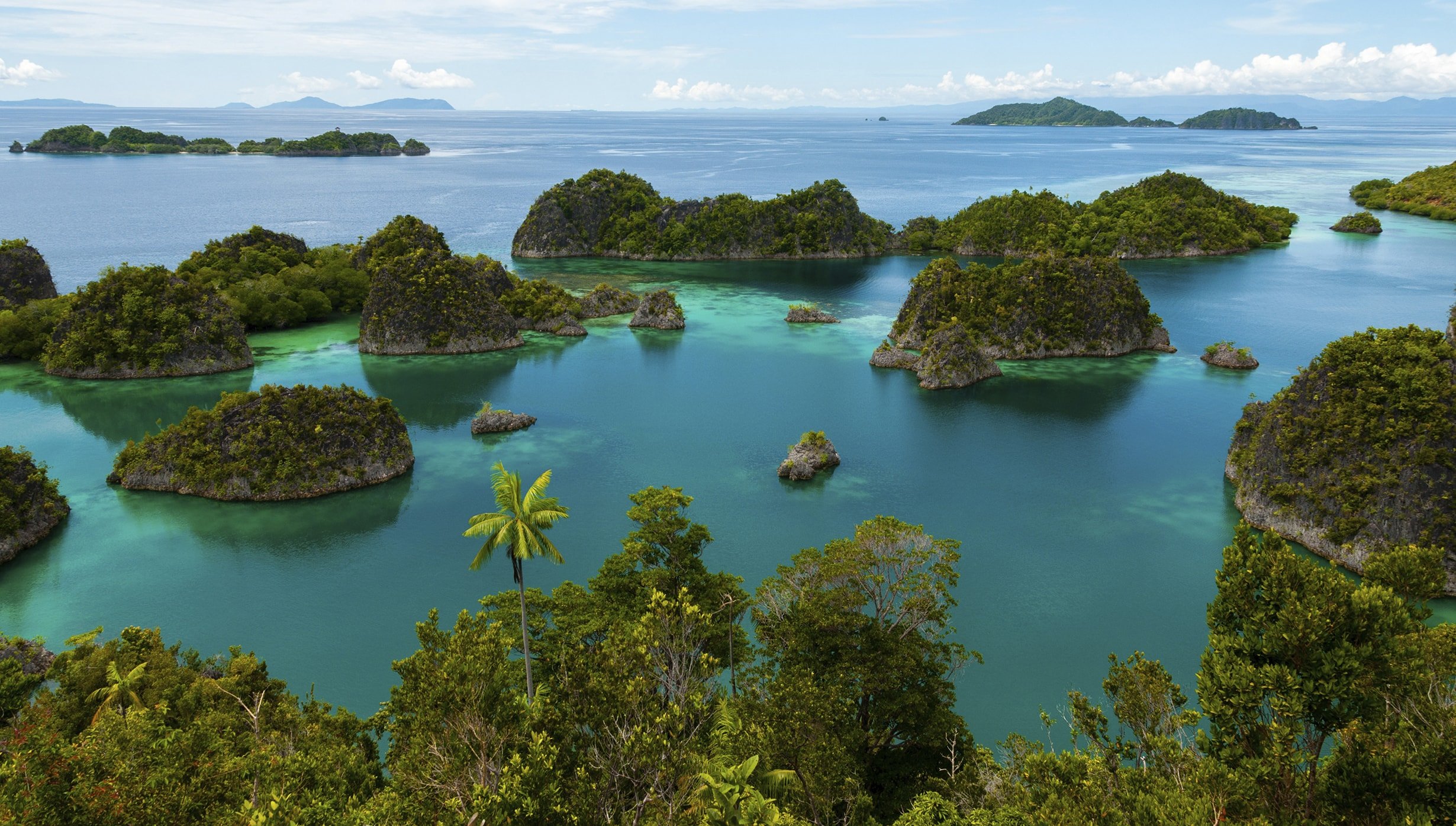 raja ampat free, Wajag Island, Raja Ampat Islands, Raja Ampat Biodiversity Eco Resort raja ampat free, Wajag Island, Raja Ampat Islands, Raja Ampat Biodiversity Eco Resort