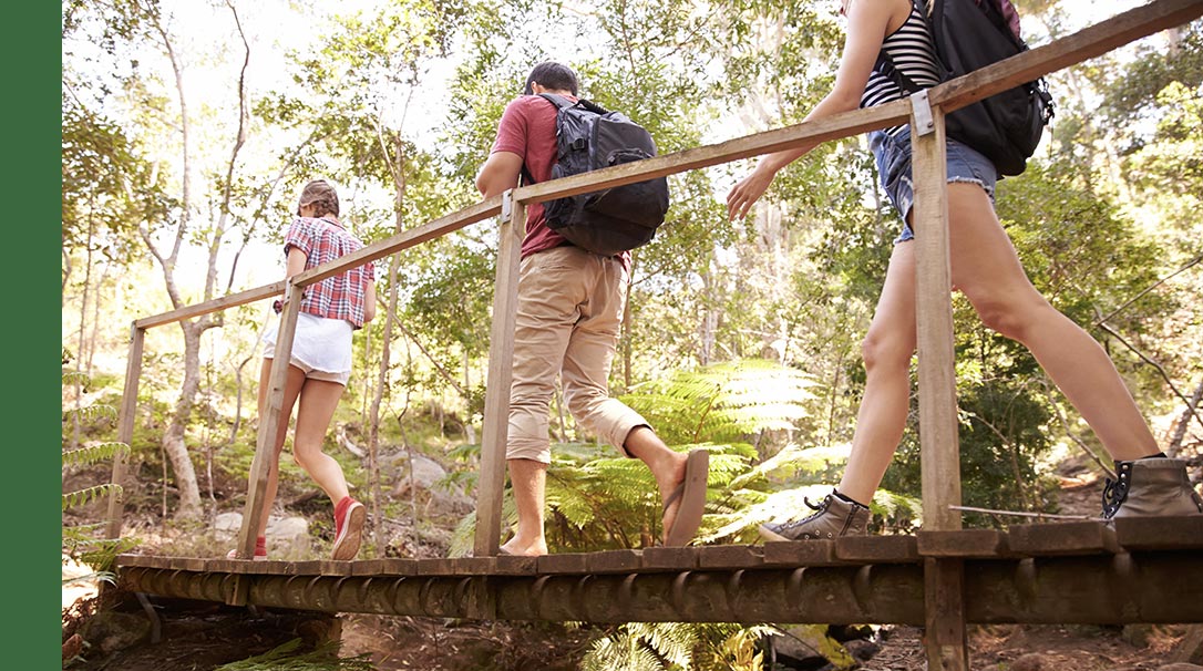 MSC Excursions, Protectours MSC Excursions, Protectours