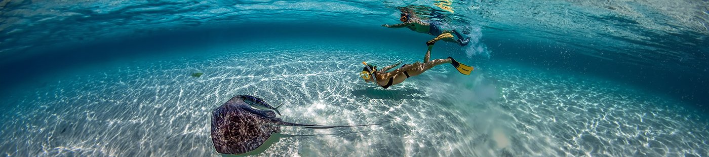 Exclusive MSC Yacht Club excursions | MSC Cruises Exclusive MSC Yacht Club excursions | MSC Cruises